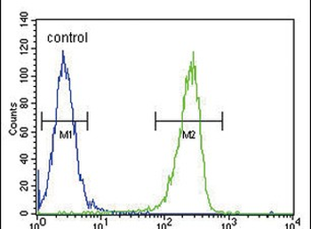 KIR2DS2 Antibody (Center)