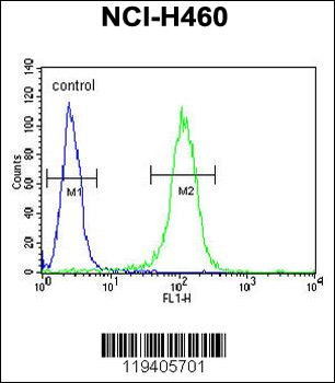 BHLH3 Antibody (N-term)