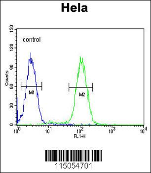 HRASLS3 Antibody (C-term)