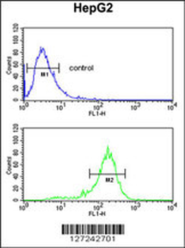 RNF208 Antibody (Center)