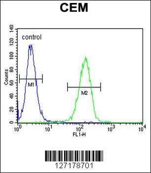 FAM105B Antibody (Center)