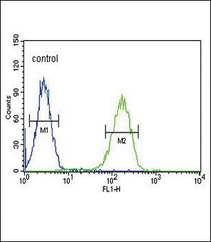 CACNA2D4 Antibody (N-term)