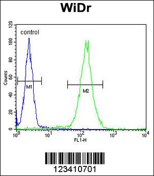 FBXO34 Antibody (C-term)