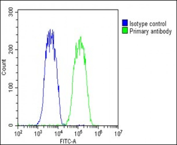 WNT5A Antibody (Center)