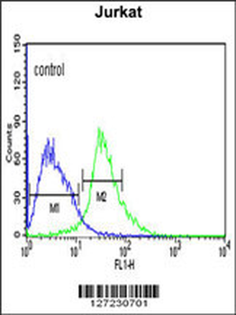TRIM50 Antibody (C-term)