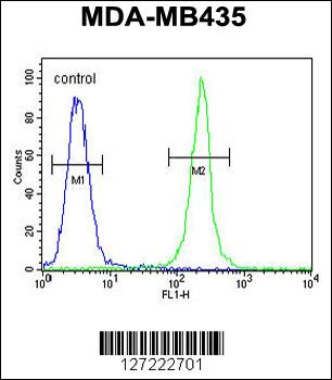 TRHDE Antibody (C-term)