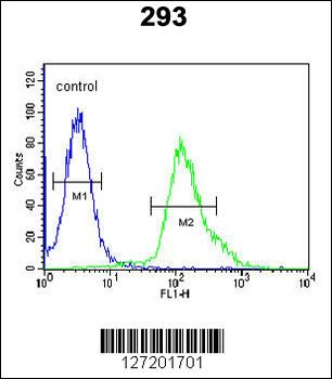 FGFBP3 Antibody (C-term)