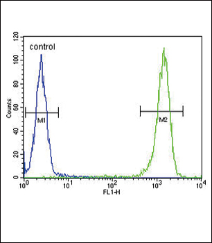MC2R Antibody (C-term)