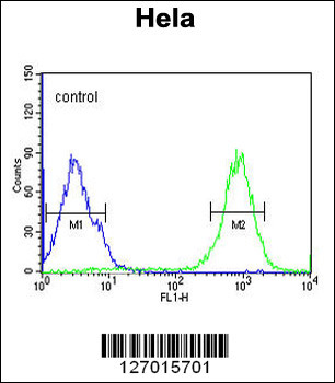 SPT13 Antibody (Center)