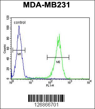 RAB11FIP2 Antibody (Center)