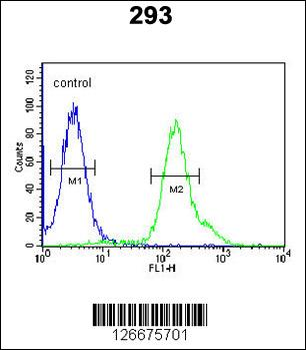 ARMC5 Antibody (C-term)