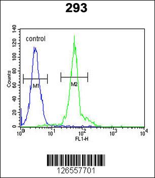 IFT172 Antibody (N-term)