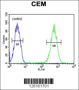 FADS2 Antibody (Center)