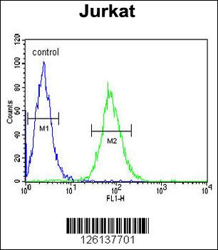 GGNBP2 Antibody (C-term)