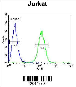 UTP6 Antibody (N-term)