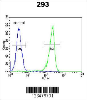 UNC50 Antibody (N-term)
