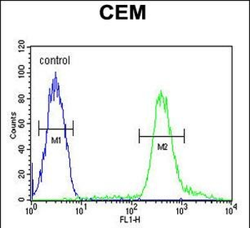 TSH2 Antibody (N-term)