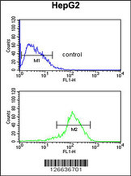 SFT2D3 Antibody (N-term)