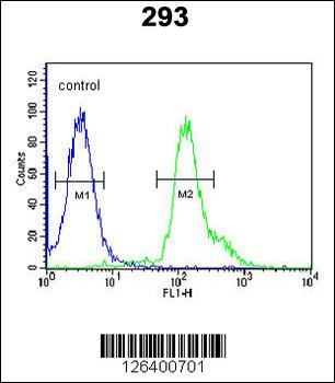 RSPO2 Antibody (C-term)