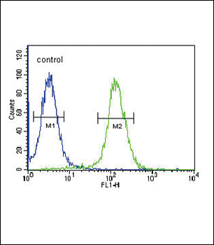 NPFF Antibody (C-term)
