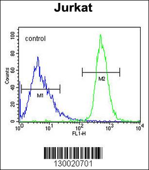 FFAR3 Antibody (C-term)
