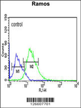 PIANP Antibody (N-term)