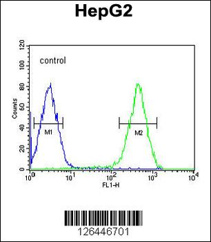 ATXN2L Antibody (C-term)