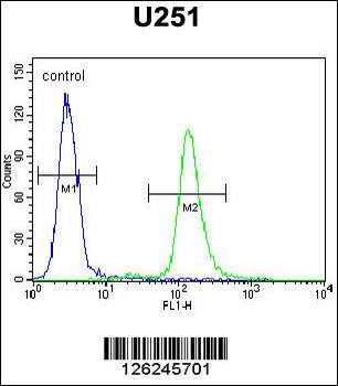 ACAP3 Antibody (N-term)