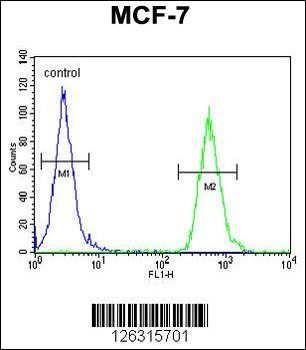 TTPAL Antibody (C-term)