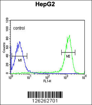 FAAH2 Antibody (C-term)