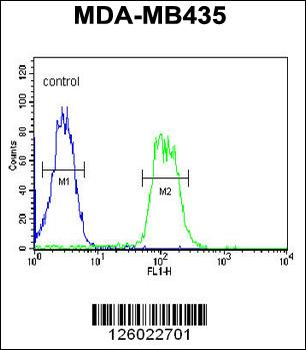 ATHL1 Antibody (C-term)