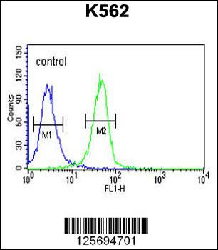 EFR3A Antibody (C-term)