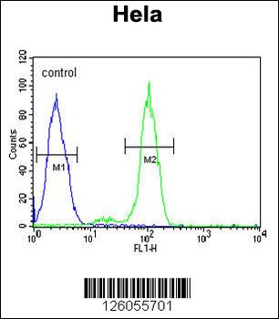 PTPLB Antibody (C-term)