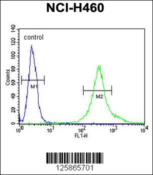 LPPR4 Antibody (C-term)