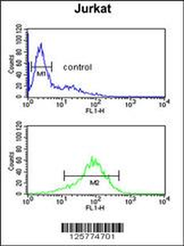 ANR49 Antibody (Center)
