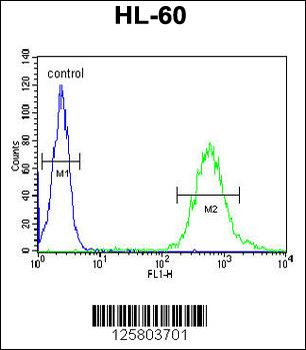 WDTC1 Antibody (C-term)