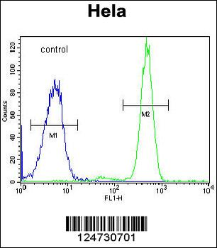 RPC8 Antibody (N-term)