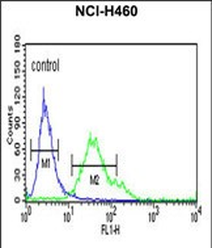 FCGR1A Antibody (Center)