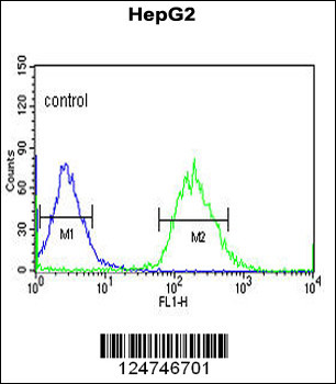 YMEL1 Antibody (N-term)