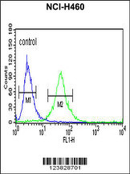RPS13 Antibody (Center)