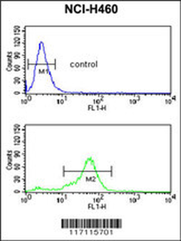 Me2-H4(K20) Antibody