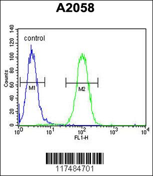 PA2G4 Antibody (Center R243)