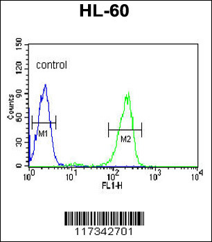 SNRPD1 Antibody (C-term)