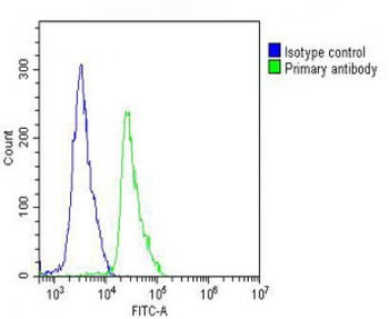 VE Cadherin Antibody (CDH5) (N-term)