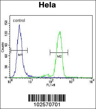 PML Sumoylation Site Antibody
