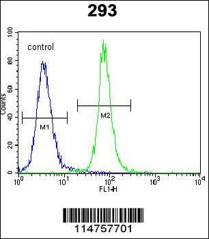SOX2 Antibody