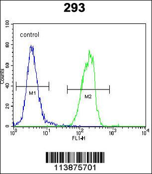 SOX2 Antibody (Center)