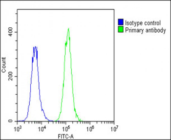 PRSSL1 Antibody(C-term)