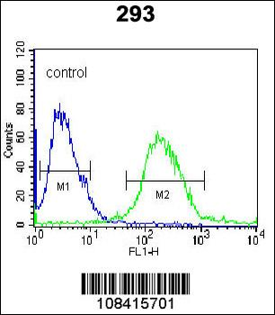 RUVBL1 (TIP49) Antibody (Center)