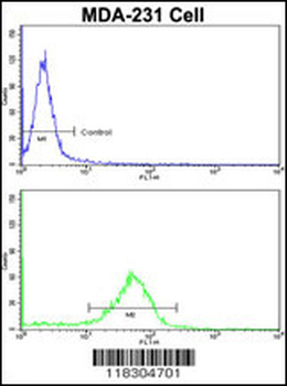 BARON Antibody (N-term)